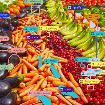 Image annotation for swiss food waste assessment solution provider