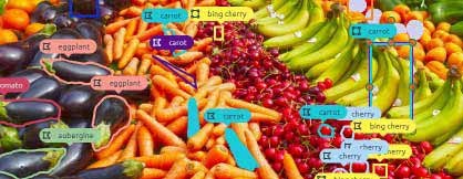 Image Annotation for Swiss Food Waste Assessment Solution Provider
