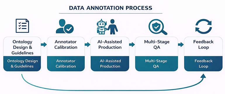Annotation Workflow 5 Stages