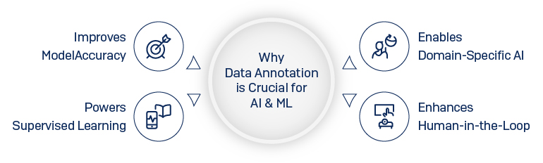 Why Data Annotation is So Crucial