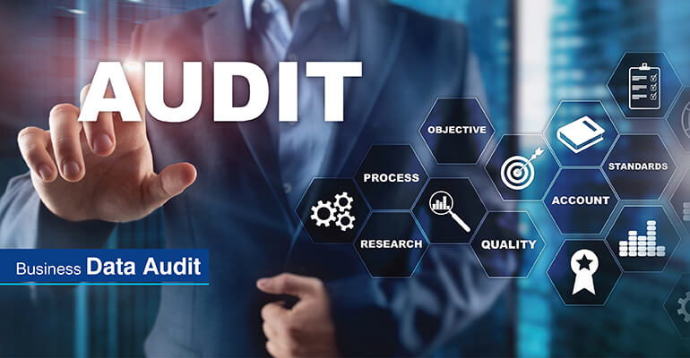Business Data Audit
