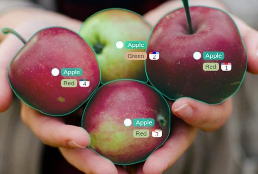 Image Annotation for Swiss Food Waste Assessment Solution Provider