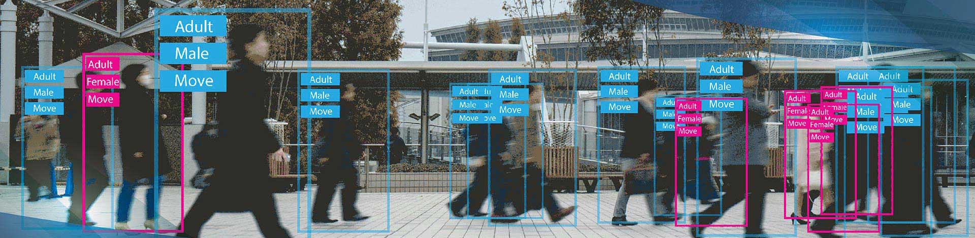 image annotation for accurate labelling
